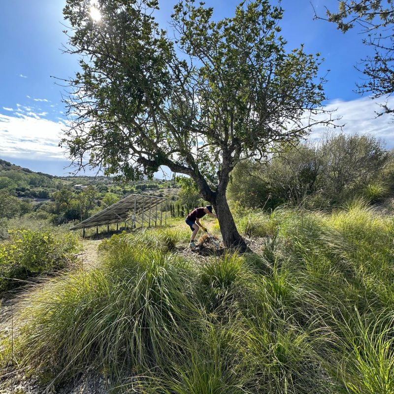 finca-saclau-11